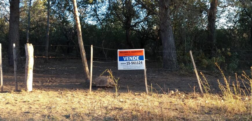 Fracción de terreno 46.960 m2 en Las Rabonas