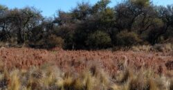 3 terrenos en Las Calles con impactantes vistas a las Altas Cumbres