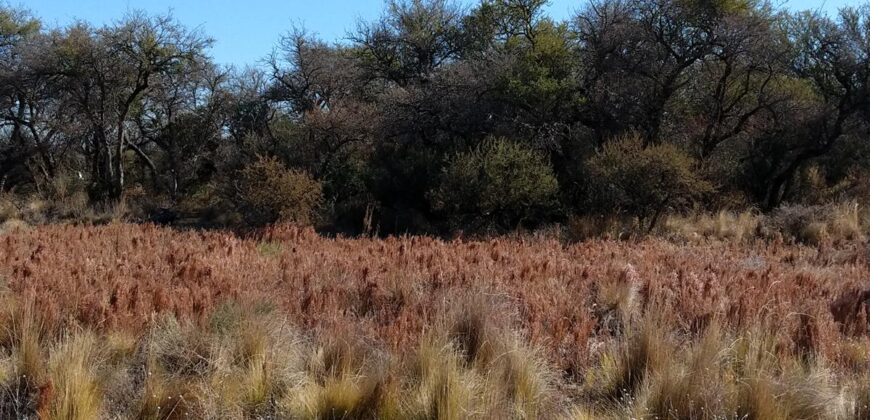 3 terrenos en Las Calles con impactantes vistas a las Altas Cumbres