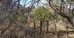 Terreno de 17.615 m2 en La quebrada, Las Calles