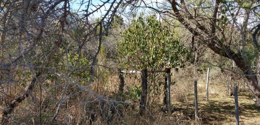 Terreno de 17.615 m2 en La quebrada, Las Calles