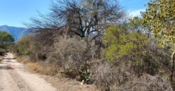 Terreno de 17.615 m2 en La quebrada, Las Calles