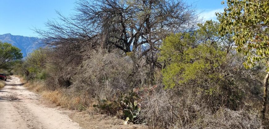 Terreno de 17.615 m2 en La quebrada, Las Calles