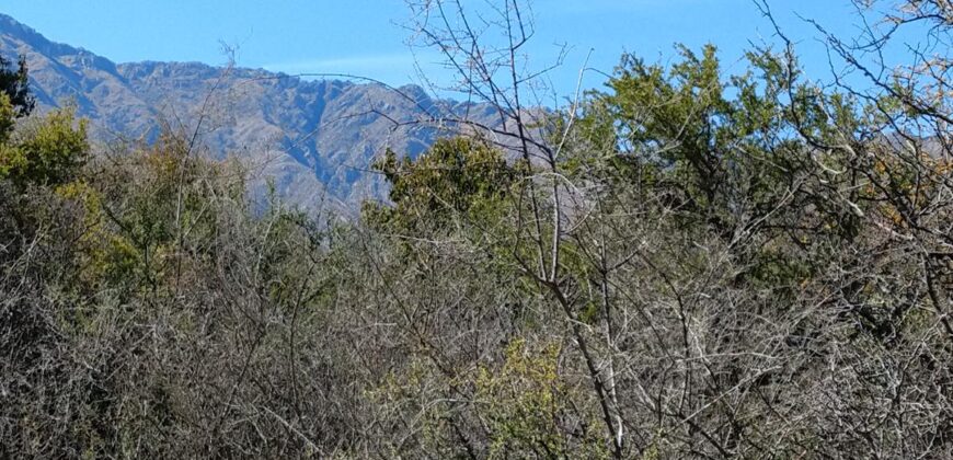 Terreno de 17.615 m2 en La quebrada, Las Calles