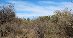 Terreno de 17.615 m2 en La quebrada, Las Calles