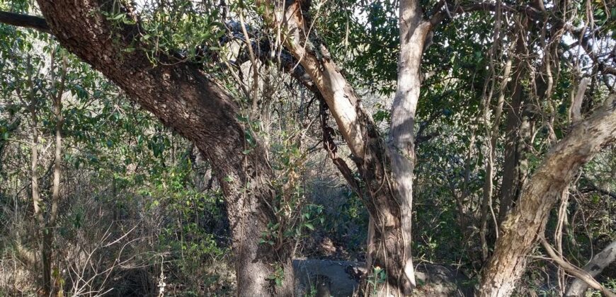 Terreno de 17.615 m2 en La quebrada, Las Calles