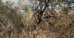 Terreno de 17.615 m2 en La quebrada, Las Calles