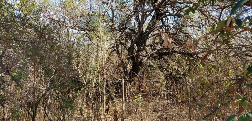 Terreno de 17.615 m2 en La quebrada, Las Calles