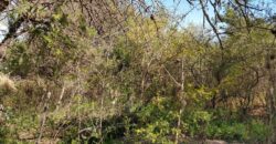 Terreno de 17.615 m2 en La quebrada, Las Calles