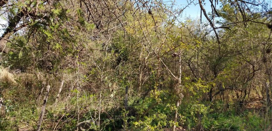 Terreno de 17.615 m2 en La quebrada, Las Calles