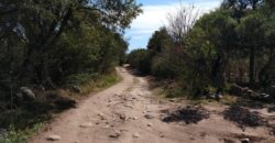 Terreno de 17.615 m2 en La quebrada, Las Calles