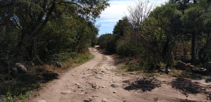 Terreno de 17.615 m2 en La quebrada, Las Calles