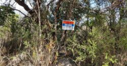 Terreno de 17.615 m2 en La quebrada, Las Calles