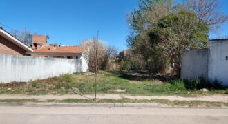 Unico !!! Lote Céntrico A 30 Mt De La Plaza En Nono