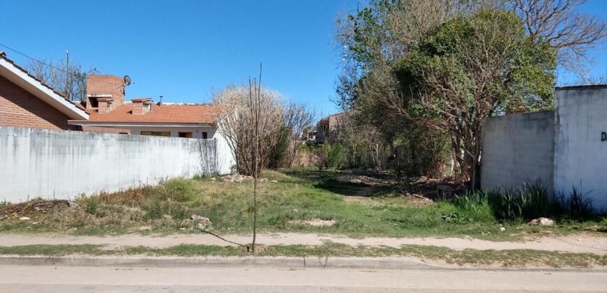 Unico !!! Lote Céntrico A 30 Mt De La Plaza En Nono