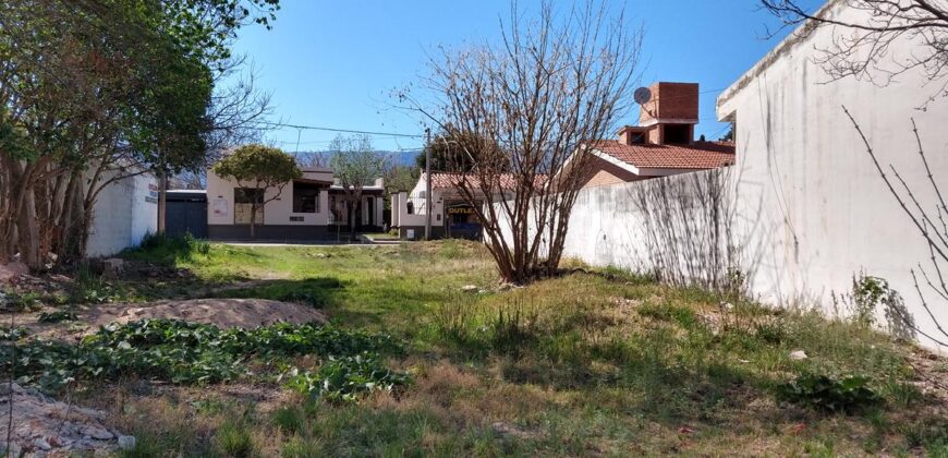 Unico !!! Lote Céntrico A 30 Mt De La Plaza En Nono