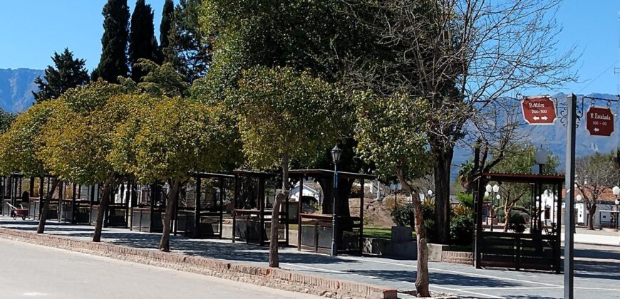Unico !!! Lote Céntrico A 30 Mt De La Plaza En Nono