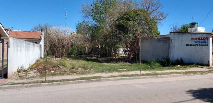 Unico !!! Lote Céntrico A 30 Mt De La Plaza En Nono