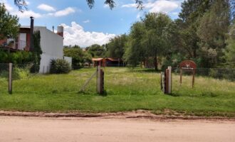 Lote único calle Rey del Bosque Nono