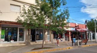 3 locales comerciales, 3 departamentos en la arteria principal de Mina Clavero