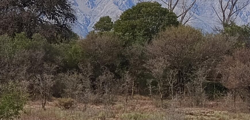 Fracción de terreno en El Alto de Nono con lindas vistas