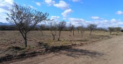 Lotes en Alto de San Lorenzo con vistas 360°