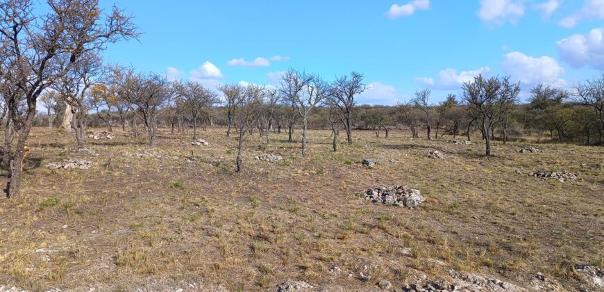 Lotes en Alto de San Lorenzo con vistas 360°