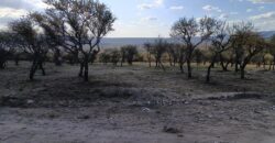 Lotes en Alto de San Lorenzo con vistas 360°