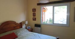 Chalet con cabaña, acequia y pileta con vistas únicas en la reserva de Los Hornillos