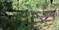 Terreno en Las Rabonas con mejoras y vista a las sierras