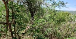 Terreno en Las Rabonas con mejoras y vista a las sierras