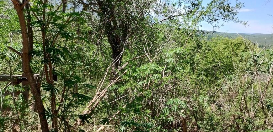 Terreno en Las Rabonas con mejoras y vista a las sierras