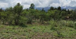 Terreno en Los Hornillos a 200 mt de la ruta