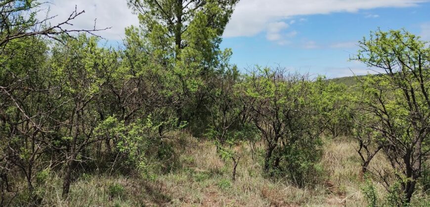 Terreno en Los Hornillos a 200 mt de la ruta