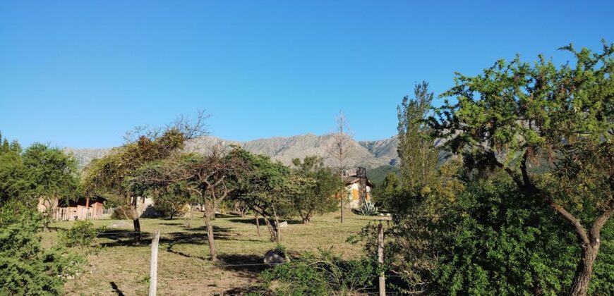 Complejo de apart y chalet con amplia pileta,  gran parque y vistas