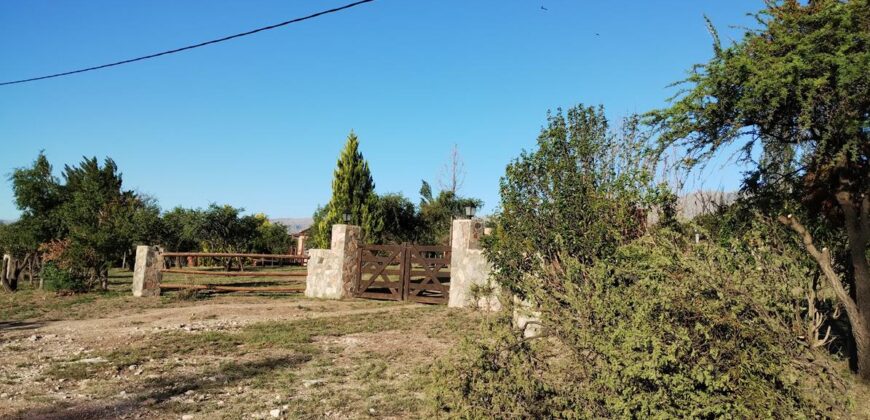 Complejo de apart y chalet con amplia pileta,  gran parque y vistas