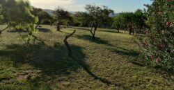 Complejo de apart y chalet con amplia pileta,  gran parque y vistas