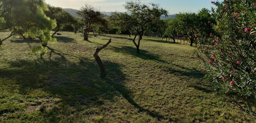 Complejo de apart y chalet con amplia pileta,  gran parque y vistas