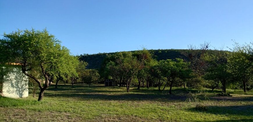 Complejo de apart y chalet con amplia pileta,  gran parque y vistas