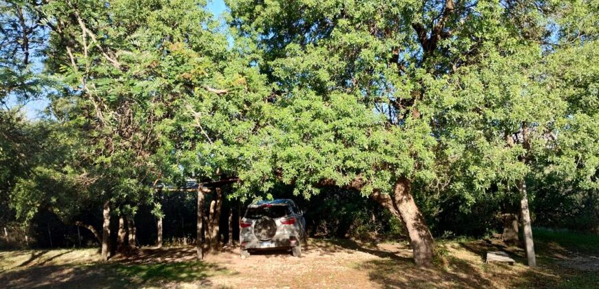 Complejo de apart y chalet con amplia pileta,  gran parque y vistas