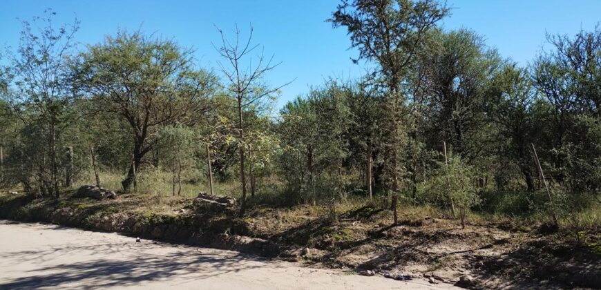 Espectacular sitio con costa de río a 10 cuadras de la plaza en Nono