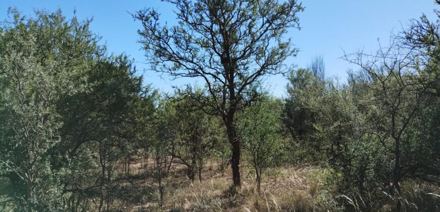 Espectacular sitio con costa de río a 10 cuadras de la plaza en Nono