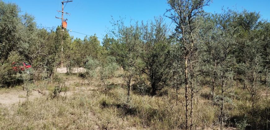 Espectacular sitio con costa de río a 10 cuadras de la plaza en Nono