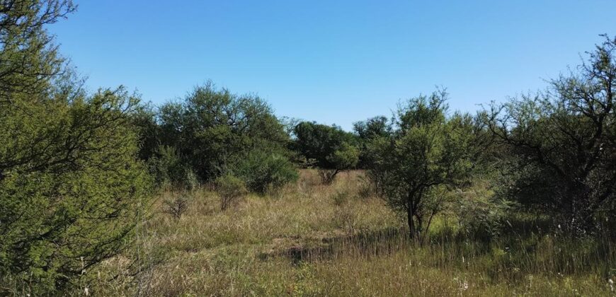 Espectacular sitio con costa de río a 10 cuadras de la plaza en Nono
