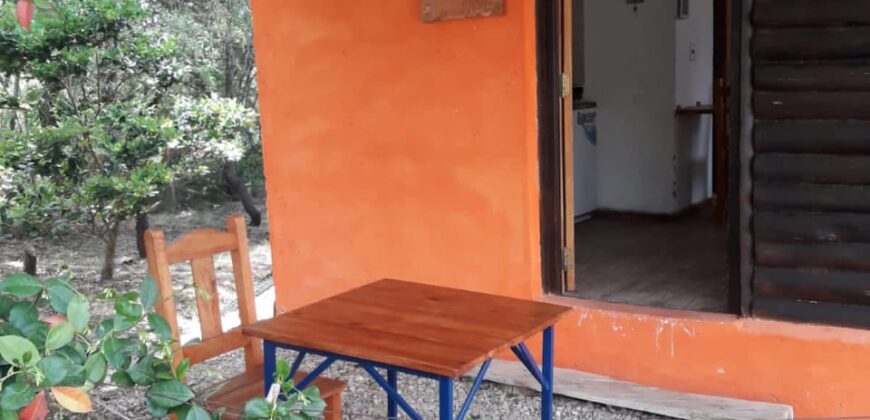 Complejo De Cabañas Y Monoambientes Con Pileta En Las Rabonas