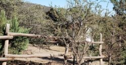 Complejo De Cabañas Y Monoambientes Con Pileta En Las Rabonas