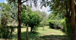 Excepcional !!! emprendimiento comercial sobre ruta en venta en Nono