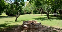 Excepcional !!! emprendimiento comercial sobre ruta en venta en Nono