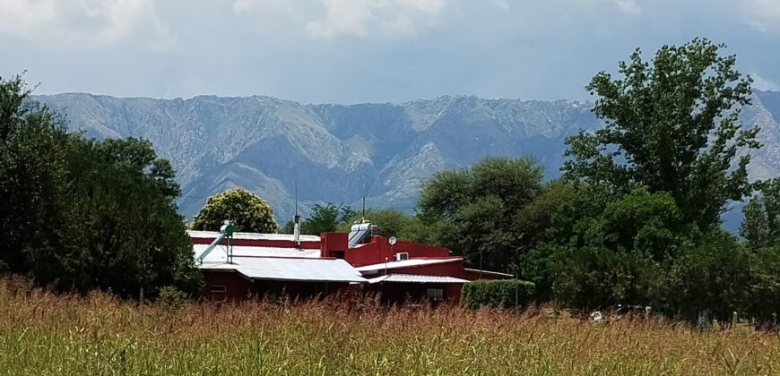 Excepcional !!! emprendimiento comercial sobre ruta en venta en Nono