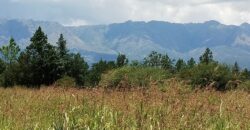 Excepcional !!! emprendimiento comercial sobre ruta en venta en Nono